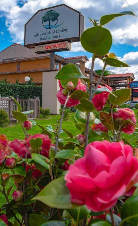 Arbors At Island Landing Hotel & Suites Pigeon Forge Exteriér fotografie